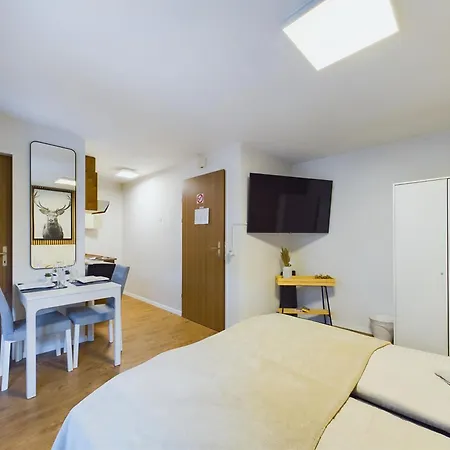 Relaxing Loft Haven Near Zermatt - Parking Free Daire